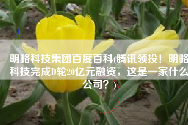明略科技集团百度百科(腾讯领投！明略科技完成D轮20亿元融资，这是一家什么公司？)
