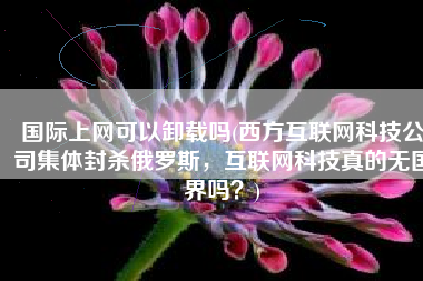国际上网可以卸载吗(西方互联网科技公司集体封杀俄罗斯，互联网科技真的无国界吗？)