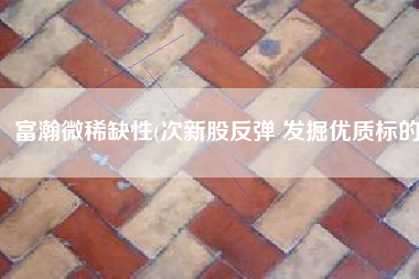 富瀚微稀缺性(次新股反弹 发掘优质标的)