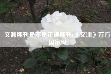 文渊期刊是不是正规期刊(《文渊》万方，国家级)
