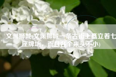 文渊狮城(文渊狮城一条古街上矗立着七座牌坊，而且各个来头不小)