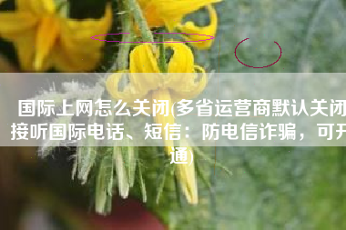 国际上网怎么关闭(多省运营商默认关闭接听国际电话、短信：防电信诈骗，可开通)