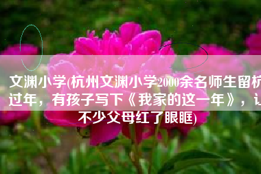 文渊小学(杭州文渊小学2000余名师生留杭过年，有孩子写下《我家的这一年》，让不少父母红了眼眶)