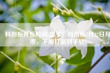 科创板开板时间(定了！科创板7月22日开市，下周打新到手软)