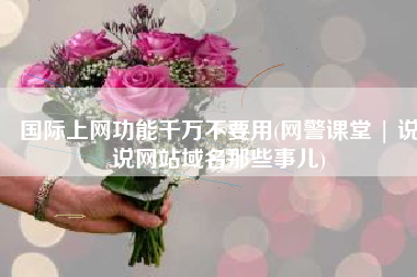 国际上网功能千万不要用(网警课堂 | 说说网站域名那些事儿)
