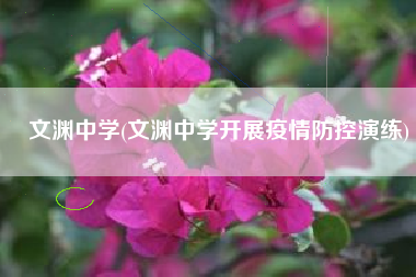 文渊中学(文渊中学开展疫情防控演练)