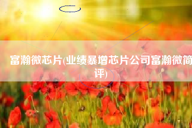 富瀚微芯片(业绩暴增芯片公司富瀚微简评)