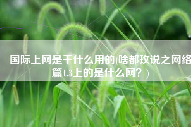 国际上网是干什么用的(啥都玫说之网络篇1.3上的是什么网？)