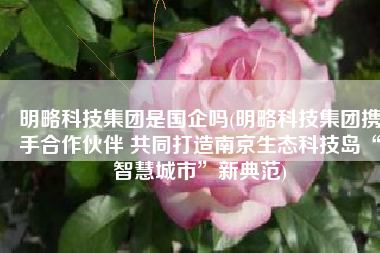 明略科技集团是国企吗(明略科技集团携手合作伙伴 共同打造南京生态科技岛“智慧城市”新典范)