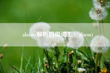 alarm(解析四级词汇：alarm)