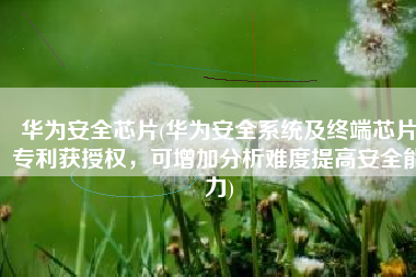 华为安全芯片(华为安全系统及终端芯片专利获授权，可增加分析难度提高安全能力)