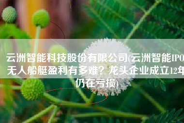 云洲智能科技股份有限公司(云洲智能IPO：无人船艇盈利有多难？龙头企业成立12年仍在亏损)