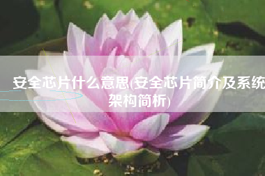 安全芯片什么意思(安全芯片简介及系统架构简析)