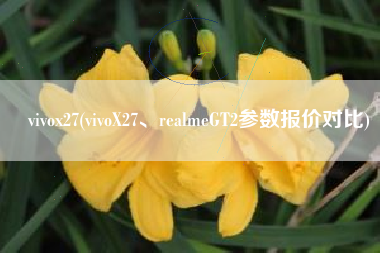vivox27(vivoX27、realmeGT2参数报价对比)