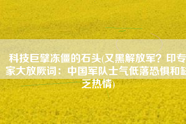 科技巨擘冻僵的石头(又黑解放军？印专家大放厥词：中国军队士气低落恐惧和缺乏热情)