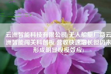 云洲智能科技有限公司(无人船艇厂商云洲智能闯关科创板 营收快速增长但仍未形成明显规模效应)
