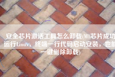 安全芯片激活工具怎么卸载(M1芯片成功运行Linux，终端一行代码启动安装，也能一键删除卸载)