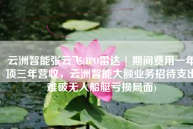 云洲智能张云飞(IPO雷达 | 期间费用一年顶三年营收，云洲智能大额业务招待支出难破无人船艇亏损局面)