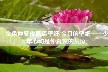 金色仲夏夜高清壁纸(今日的壁纸——少年心动是仲夏夜的荒原)