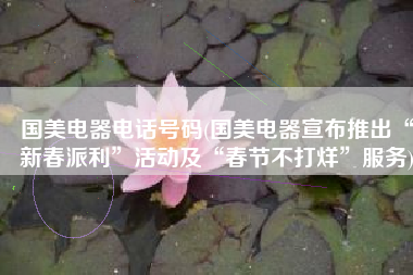 国美电器电话号码(国美电器宣布推出“新春派利”活动及“春节不打烊”服务)