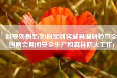 雄安刘树军(刘树军到容城县调研检查全国两会期间安全生产和森林防火工作)