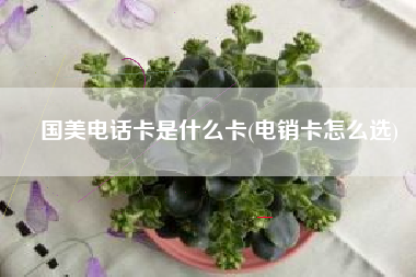 国美电话卡是什么卡(电销卡怎么选)