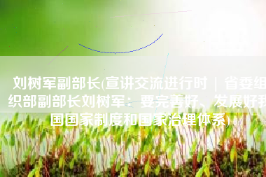 刘树军副部长(宣讲交流进行时 | 省委组织部副部长刘树军：要完善好、发展好我国国家制度和国家治理体系)
