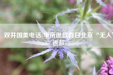 双井国美电话(华帝退款首日北京“无人”退款)