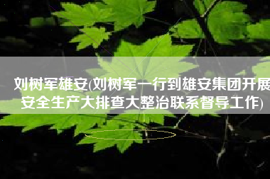 刘树军雄安(刘树军一行到雄安集团开展安全生产大排查大整治联系督导工作)