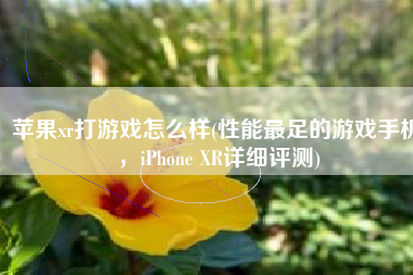 苹果xr打游戏怎么样(性能最足的游戏手机，iPhone XR详细评测)