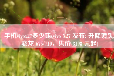 手机vivox27多少钱(vivo X27 发布: 升降镜头/骁龙 675/710，售价 3198 元起)