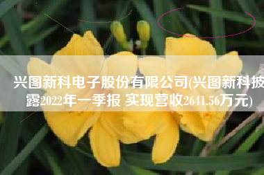 兴图新科电子股份有限公司(兴图新科披露2022年一季报 实现营收2641.56万元)
