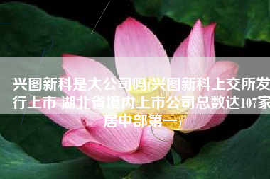兴图新科是大公司吗(兴图新科上交所发行上市 湖北省境内上市公司总数达107家居中部第一)