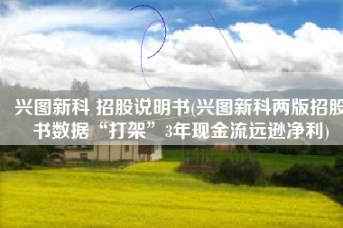 兴图新科 招股说明书(兴图新科两版招股书数据“打架”3年现金流远逊净利)