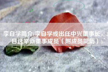 李自学简介(李自学或出任中兴董事长，29日选举新董事成员（附成员简历）)