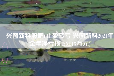 兴图新科股吧(止盈转亏 兴图新科2021年全年净亏损4561.13万元)