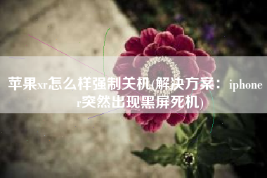 苹果xr怎么样强制关机(解决方案：iphone xr突然出现黑屏死机)