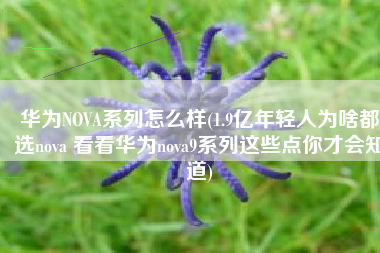 华为NOVA系列怎么样(1.9亿年轻人为啥都选nova 看看华为nova9系列这些点你才会知道)