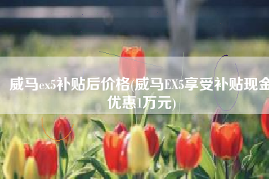 威马ex5补贴后价格(威马EX5享受补贴现金优惠1万元)