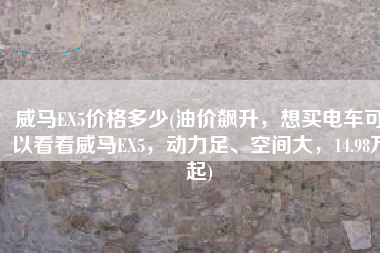 威马EX5价格多少(油价飙升，想买电车可以看看威马EX5，动力足、空间大，14.98万起)