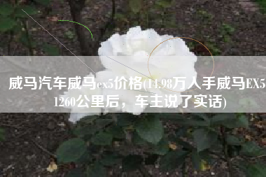 威马汽车威马ex5价格(14.98万入手威马EX5，1260公里后，车主说了实话)