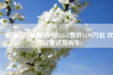 威马ex5-z价格(威马EX5-Z售价14.98万起 欢迎试乘试驾购车)