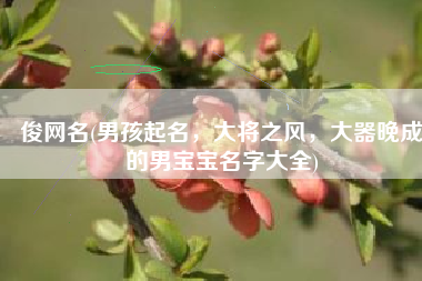 俊网名(男孩起名，大将之风，大器晚成的男宝宝名字大全)