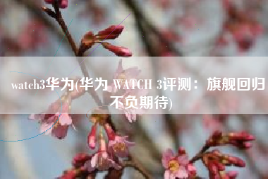watch3华为(华为 WATCH 3评测：旗舰回归 不负期待)