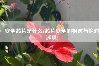安全芯片是什么(芯片安全的相对与绝对迷思)