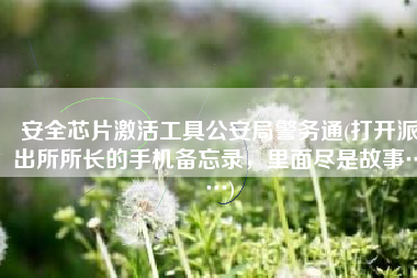 安全芯片激活工具公安局警务通(打开派出所所长的手机备忘录，里面尽是故事……)