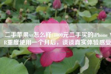 二手苹果xr怎么样(4000元二手买的iPhone XR重度使用一个月后，谈谈真实体验感受)