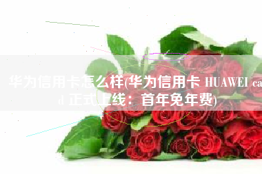 华为信用卡怎么样(华为信用卡 HUAWEI card 正式上线：首年免年费)