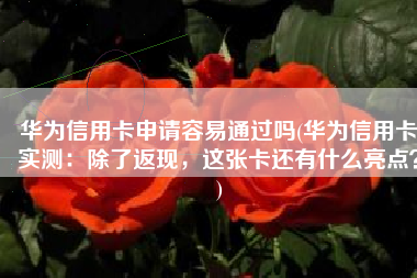 华为信用卡申请容易通过吗(华为信用卡实测：除了返现，这张卡还有什么亮点？)