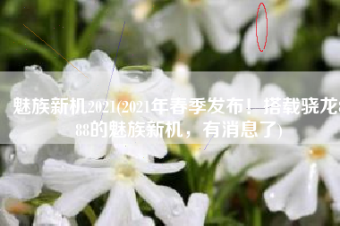 魅族新机2021(2021年春季发布！搭载骁龙888的魅族新机，有消息了)